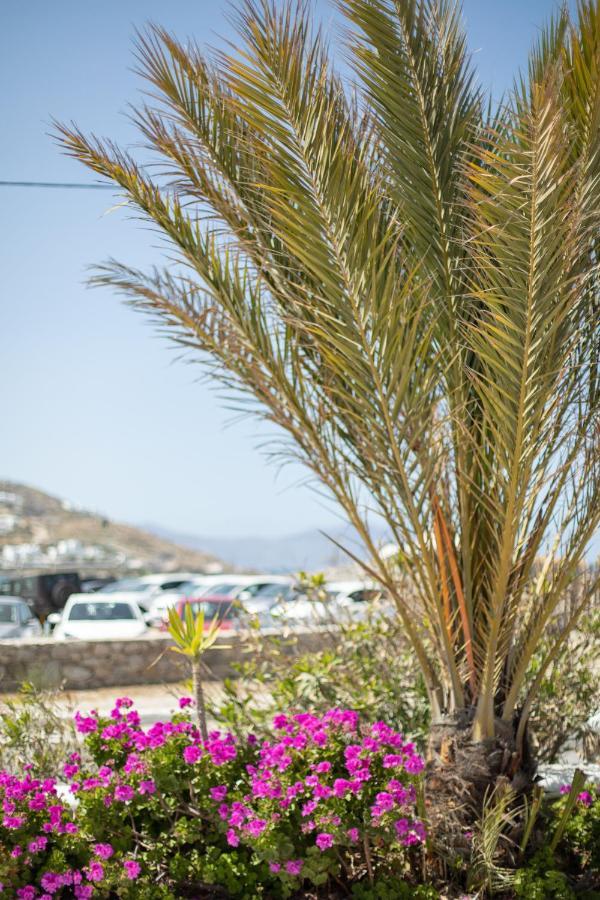 Eleftheria Hotel & Apartments Ornos (Mykonos) Exterior foto
